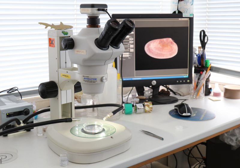 APEM - Microscope imaging setup